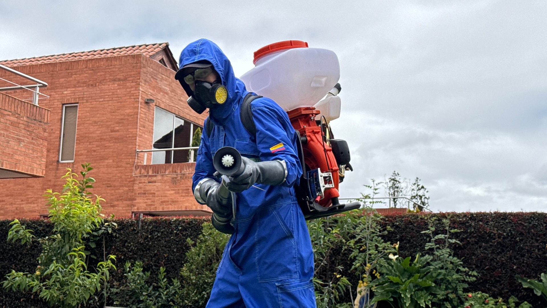 Asociados Antiplagas - Control de plagas profesional en Bogotá